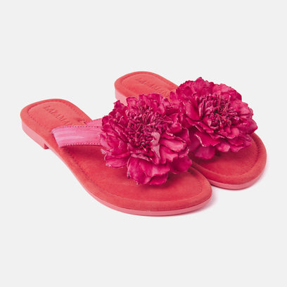 Women's Slippers 33.517 Coral