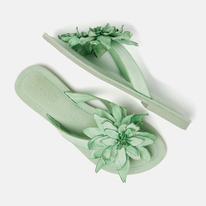 Daisy Women's Leather Slippers Green