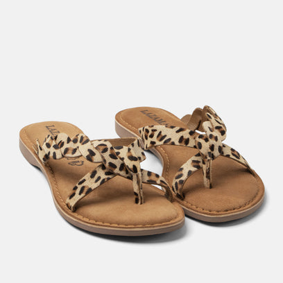 Avi Women's Slippers Leopard